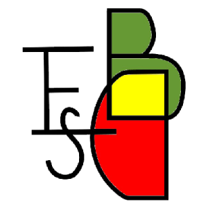 IES Berenguer Dalmau